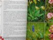 West-Europa's mooiste planten - 3 - Thumbnail