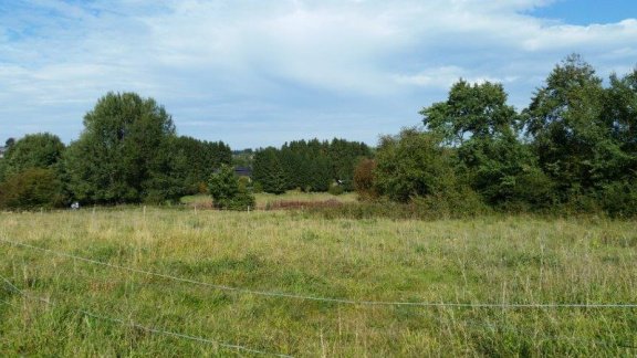 Ardennen,6852 Maissin-Paliseul: Bouwgrond 9a21ca, ,.. te koop - 2