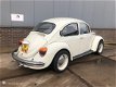Volkswagen Kever - [APK 01-2021] - 1 - Thumbnail
