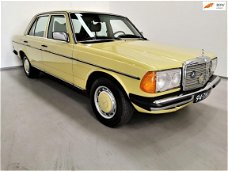 Mercedes-Benz 250 - (W123) / Automaat / GERESTAUREERD