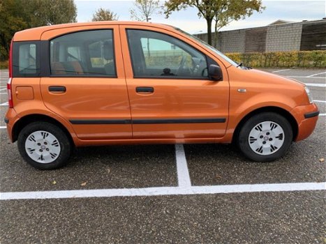 Fiat Panda - 1.2 Edizione Cool APK 11-11-2020 Nw Distributie/koppeling Netjes - 1