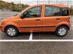 Fiat Panda - 1.2 Edizione Cool APK 11-11-2020 Nw Distributie/koppeling Netjes - 1 - Thumbnail