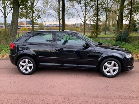 Audi A3 - 1.6 TDI Attraction Business Edition - 1