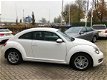 Volkswagen Beetle - 1.2 TSI Design CLIMATE / CRUISE / LMV / XENON / PARKEERSENSOREN V+A / SPORTIEF - 1 - Thumbnail