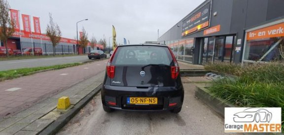 Fiat Punto - 1.2 Active - 1