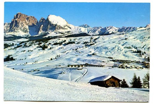 A012 Alpe di Siussi - II Sassolungo m3178 Seiseralm - Langkofel / Oostenrijk - 1