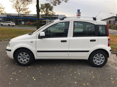 Fiat Panda - 1.2 Edizione Cool - 1