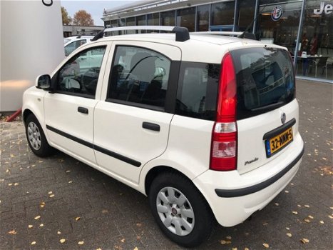 Fiat Panda - 1.2 Edizione Cool - 1