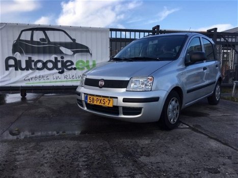 Fiat Panda - 1.2 Active plus - 1