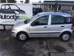 Fiat Panda - 1.2 Active plus - 1 - Thumbnail