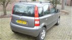 Fiat Panda - 1.2 69 EDIZIONE COOL - 1 - Thumbnail