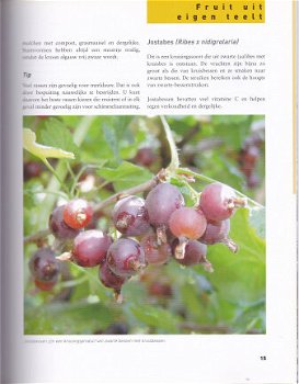 Fruit uit eigen tuin - 2