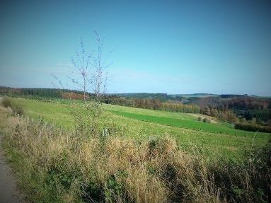 6830 LES HAYONS (BOUILLON) : prachtig gelegen bouwgrond, 19a89ca. - 6