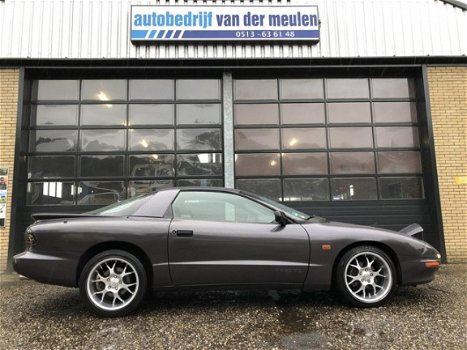 Pontiac Firebird - 3.4 SE automaat in zeer mooie staat - 1