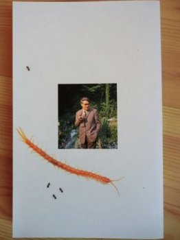 Godfried Bomans - Erik of het klein insectenboek GLOEDNIEUW - 2