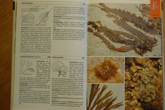 Europese kusten. Flora en fauna - Afbeelding 2