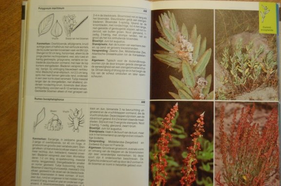 Europese kusten. Flora en fauna - Afbeelding 3