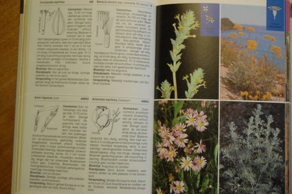 Europese kusten. Flora en fauna - Afbeelding 4