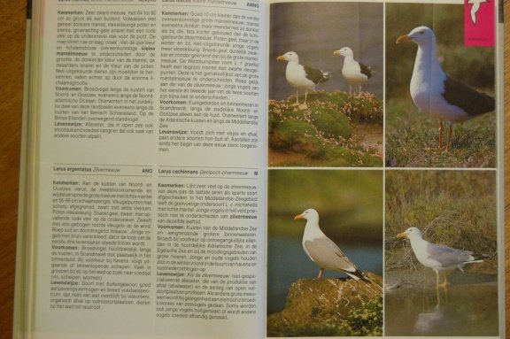 Europese kusten. Flora en fauna - Afbeelding 6