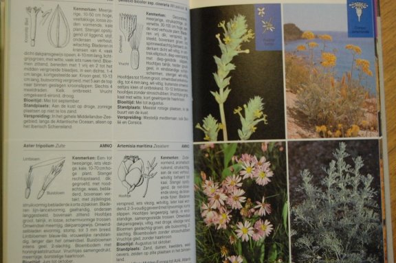 Europese kusten. Flora en fauna - Afbeelding 8
