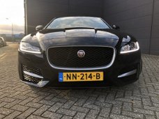 Jaguar XF Portfolio - 2.0d "R SPORT"