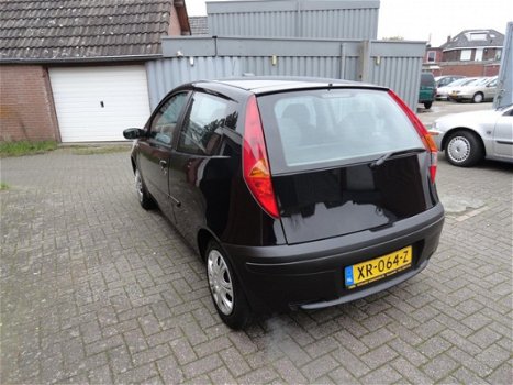 Fiat Punto - 1.2 ( KM 239163 NAP) NIEUW APK - 1