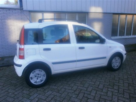 Fiat Panda - 1.2 Edizione Cool - 1