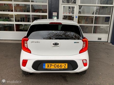 Kia Picanto - 1.0 CVVT Design Edition/Airco/Ldrbek/Camera/Navi - 1