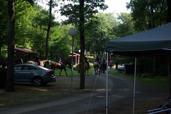 Vakantie in de Dordogne - Afbeelding 6