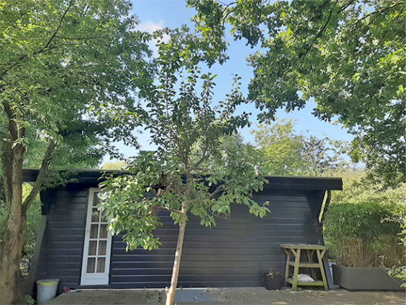 Koopchalet, recreatiewoning te koop Bergen op Zoom - Afbeelding 3