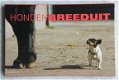 Honden breeduit - 1 - Thumbnail