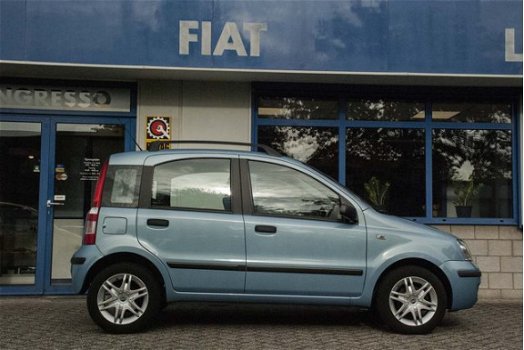 Fiat Panda - 1.2 Dynamic - 1