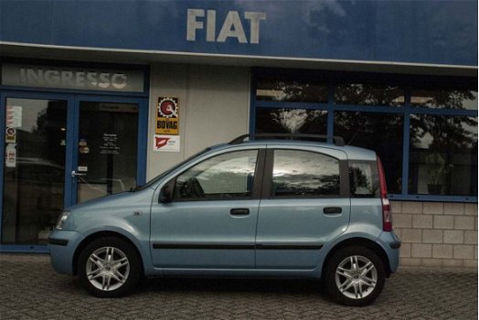 Fiat Panda - 1.2 Dynamic - 1