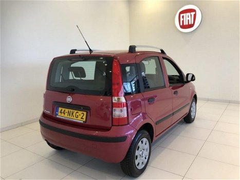 Fiat Panda - 1.2 Edizione Cool Airco - 1