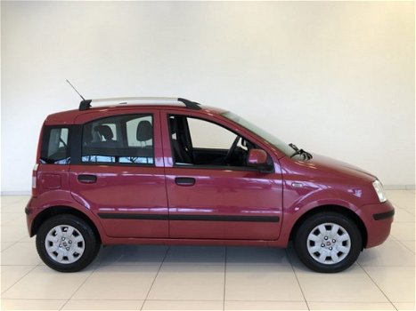 Fiat Panda - 1.2 Edizione Cool Airco - 1