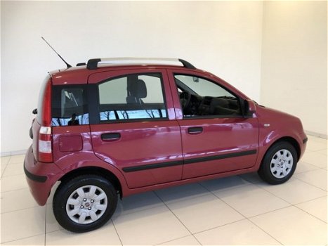 Fiat Panda - 1.2 Edizione Cool Airco - 1