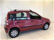 Fiat Panda - 1.2 Edizione Cool Airco - 1 - Thumbnail