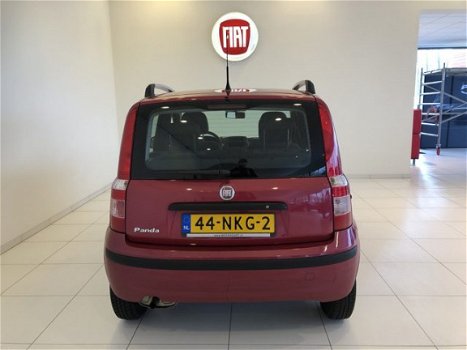 Fiat Panda - 1.2 Edizione Cool Airco - 1