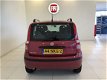 Fiat Panda - 1.2 Edizione Cool Airco - 1 - Thumbnail