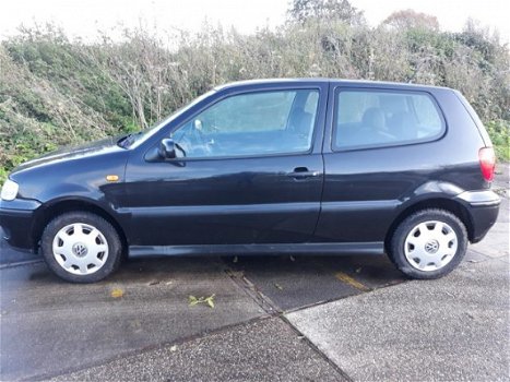 Volkswagen Polo - 1.4-16V Trendline - 1