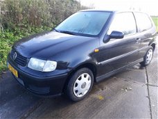 Volkswagen Polo - 1.4-16V Trendline