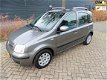 Fiat Panda - 1.2 Edizione Cool AIRCO EERSTE EIGENAAR - 1 - Thumbnail