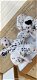 Dalmatische puppy's te koop - 1 - Thumbnail