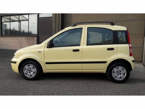 Fiat Panda - 1.2 Edizione Cool - 1