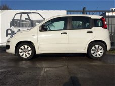 Fiat Panda - 1.2 Pop