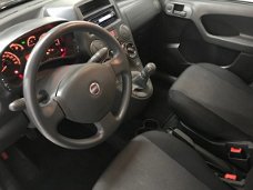 Fiat Panda - 1.2 Edizione Cool