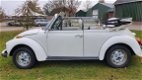 Volkswagen Kever Cabriolet - Triple White - 1 - Thumbnail