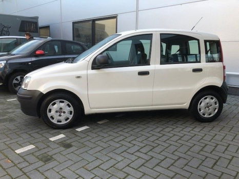 Fiat Panda - 1.2 Actual hoge instap en stuurbekr - 1