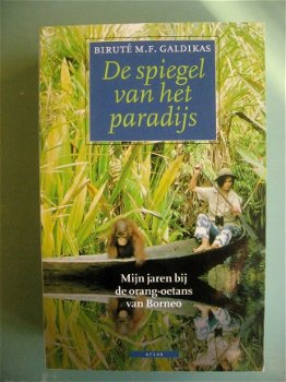 De spiegel van het paradijs, mijn jaren bij de orang-oetans - 0