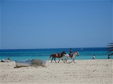 Appartementen in Midoun te DJERBA (TUNESIE)